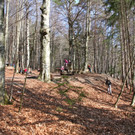 KOE_Wildpark 201203 40_jpg-1332087705