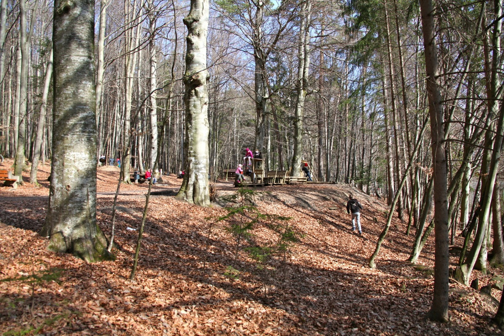 KOE_Wildpark 201203 40_jpg-1332087705