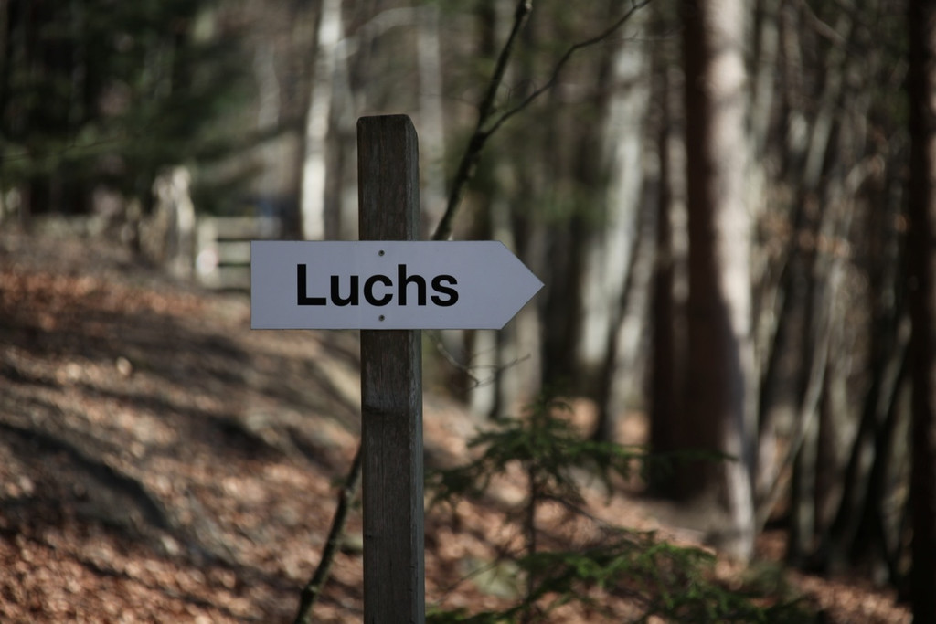 KOE_Wildpark 201203 41_jpg-1332087709