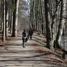 KOE_Wildpark 201203 49_jpg-1332087775