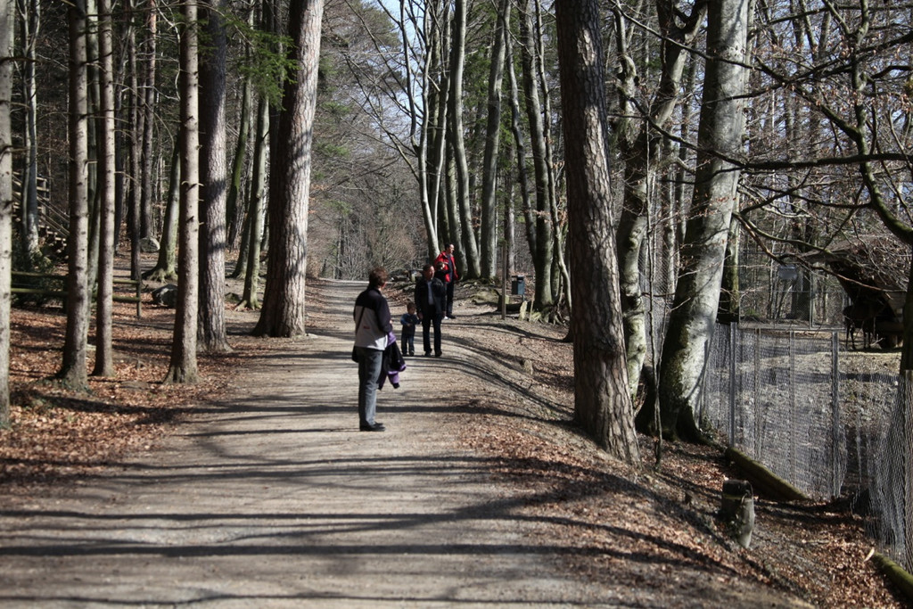 KOE_Wildpark 201203 49_jpg-1332087775