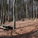 KOE_Wildpark 201203 53_jpg-1332087824