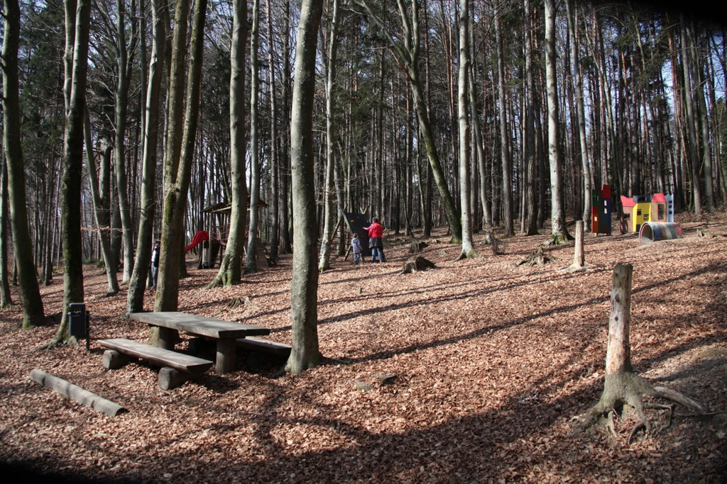 KOE_Wildpark 201203 53_jpg-1332087824