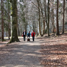 KOE_Wildpark 201203 57_jpg-1332087861