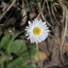 KOE_Wildpark 201203 61_jpg-1332087887