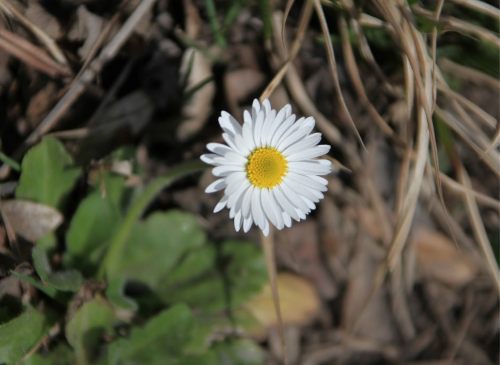 KOE_Wildpark 201203 61_jpg-1332087887