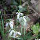 KOE_Wildpark 201203 62_jpg-1332087892