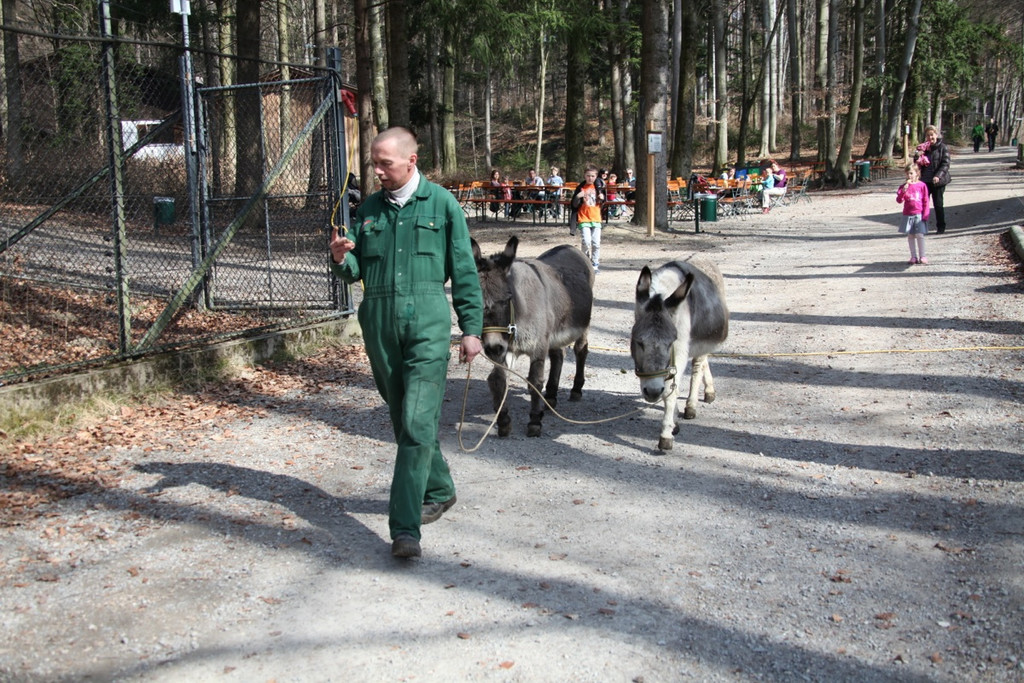 KOE_Wildpark 201203 64_jpg-1332087915