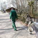 KOE_Wildpark 201203 65_jpg-1332087926