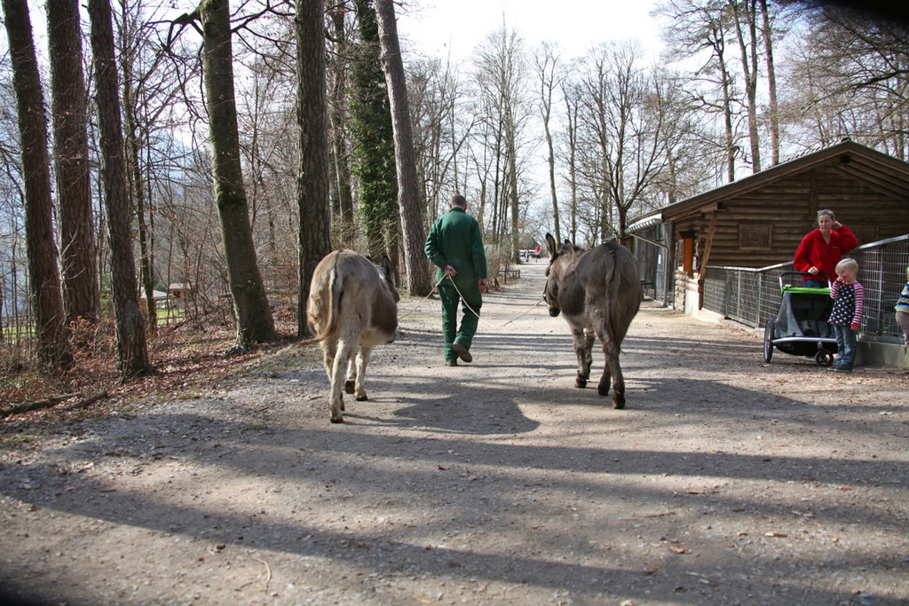 KOE_Wildpark 201203 66_jpg-1332087937