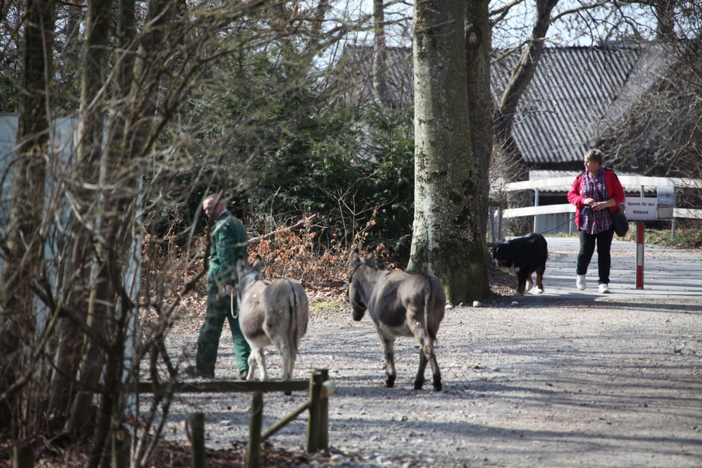 KOE_Wildpark 201203 68_jpg-1332087957