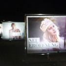 Walser31Plakate_jpg-1332087478