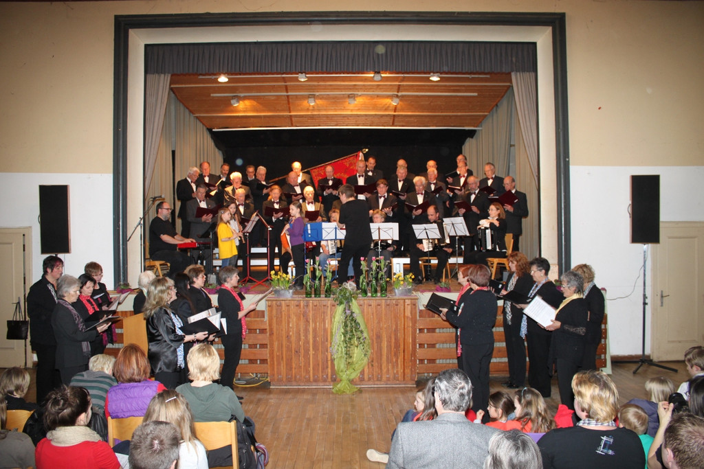 Gemeinschaftskonzert Impressionen 2011 _9__jpg-1332091539
