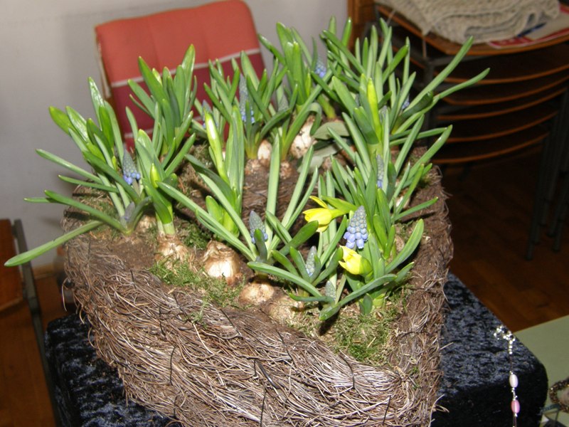 P3180101_JPG-1332098574