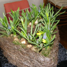 P3180101_JPG-1332098574