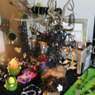 P3180116_JPG-1332098621