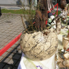 P3180144_JPG-1332098714