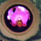 114_0027_JPG-1332114065