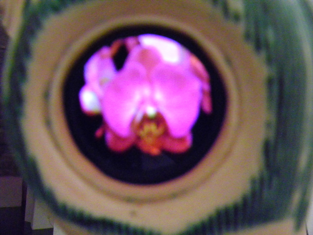 114_0027_JPG-1332114065