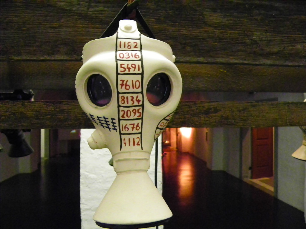 114_0029_JPG-1332114077