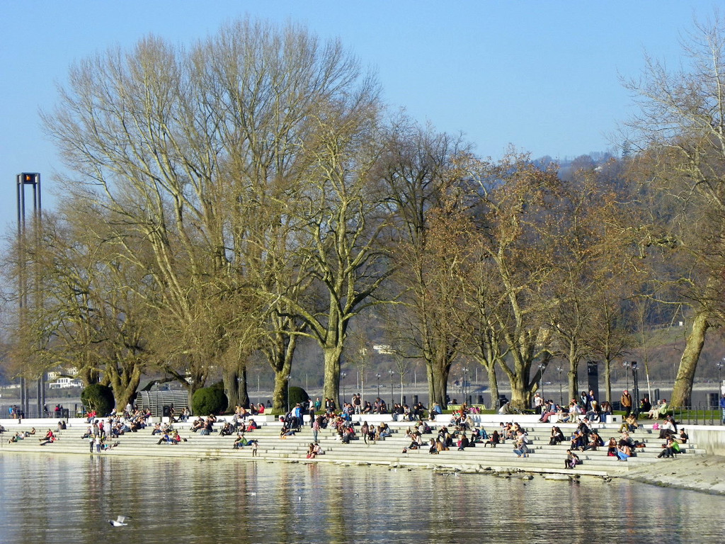 114_0465_JPG-1332115359