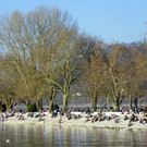 Molo als Anziehungspunkt