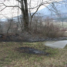 IMG_8886.JPG