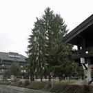 Silvrettastra__e Schruns - 032 - Copyright by Gerhard Scopoli.jpg
