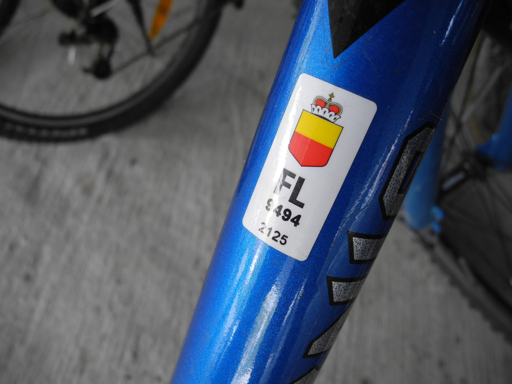 sm_fl_velo 1_JPG-1332150235