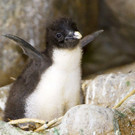 ABD0019-20110504.jpg