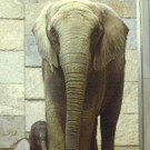 551600.jpg