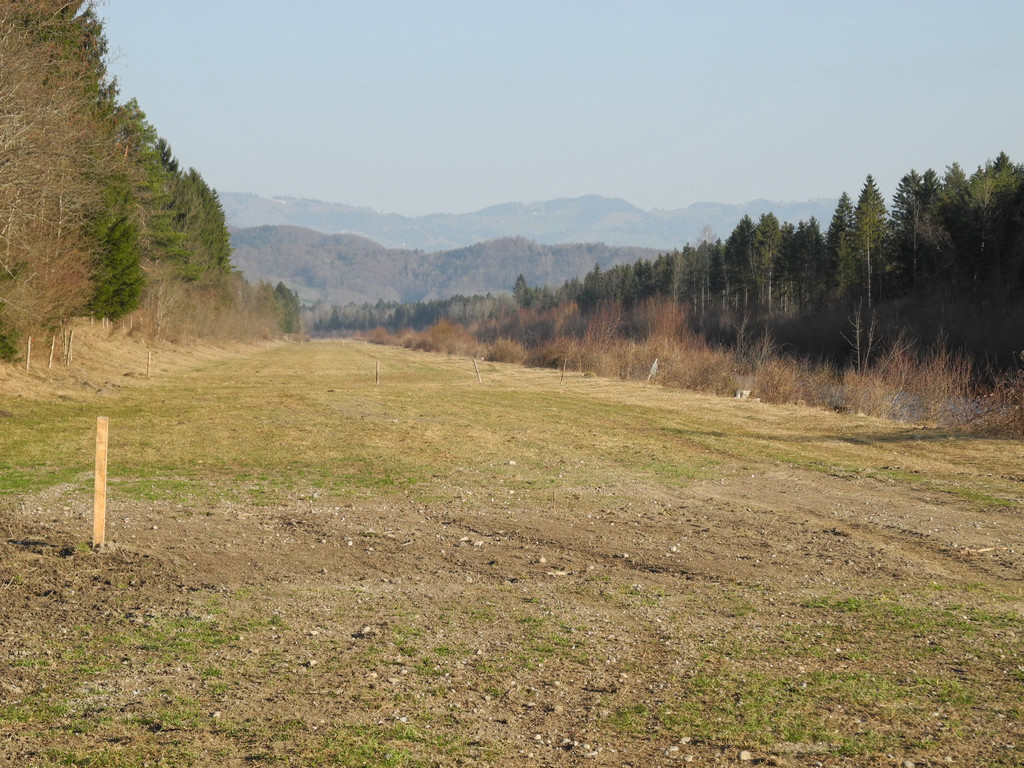 DSCN1249_jpg-1332165157