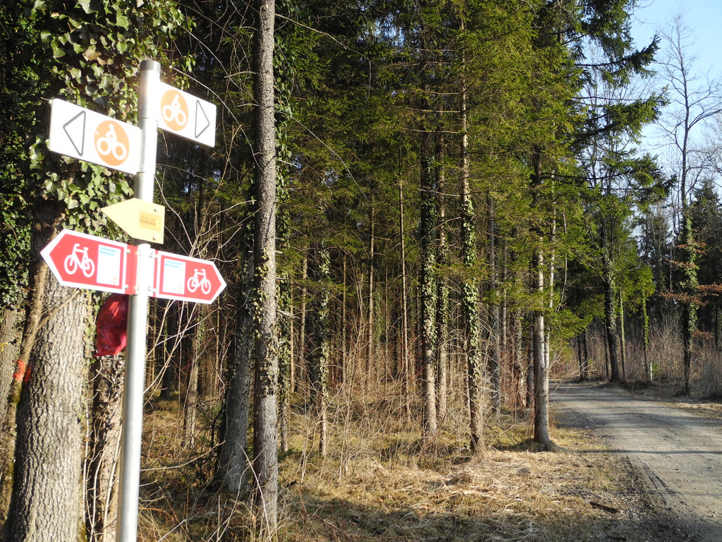 DSCN1251_JPG-1332165208