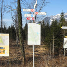 DSCN1253_jpg-1332165263