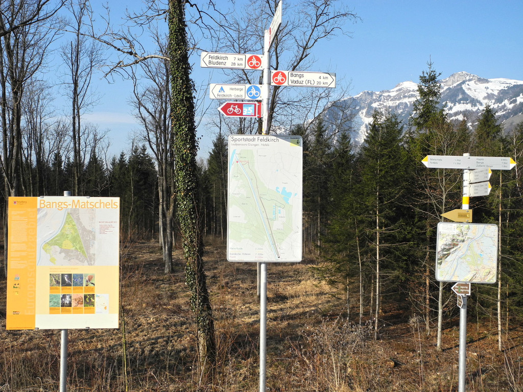 DSCN1253_jpg-1332165263