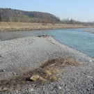 DSCN1269_jpg-1332165621