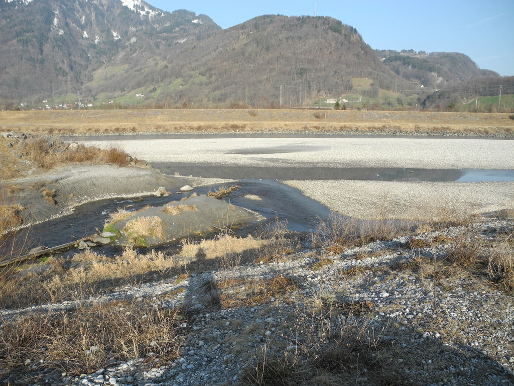 DSCN1262_jpg-1332165474