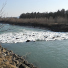 DSCN1264_jpg-1332165520