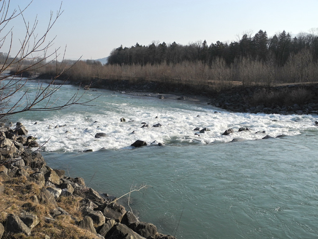 DSCN1264_jpg-1332165520