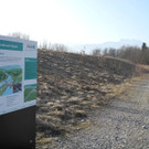 DSCN1273_jpg-1332165734