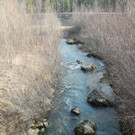 DSCN1284_jpg-1332166028