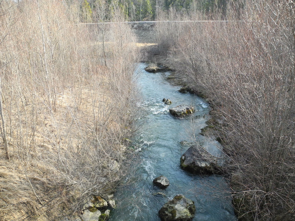 DSCN1284_jpg-1332166028