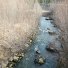 DSCN1285_jpg-1332166061