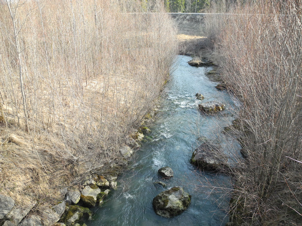 DSCN1285_jpg-1332166061