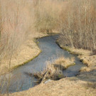 DSCN1287_JPG-1332166120