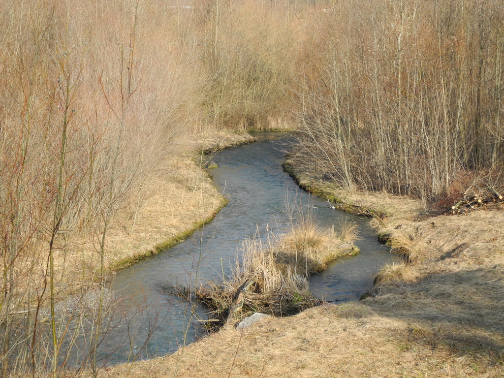 DSCN1287_JPG-1332166120