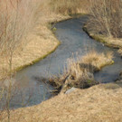 DSCN1288_JPG-1332166151