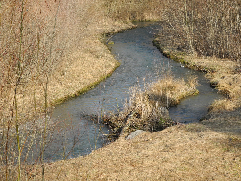 DSCN1288_JPG-1332166151