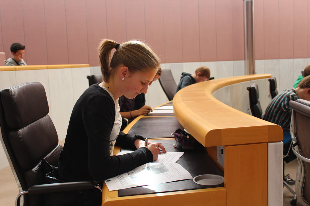 IMG_4246_JPG-1332174091