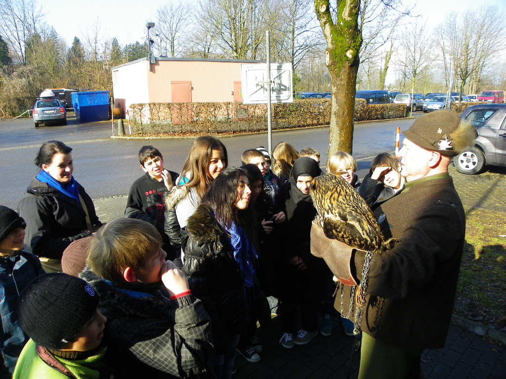 113_9613_JPG-1332181027